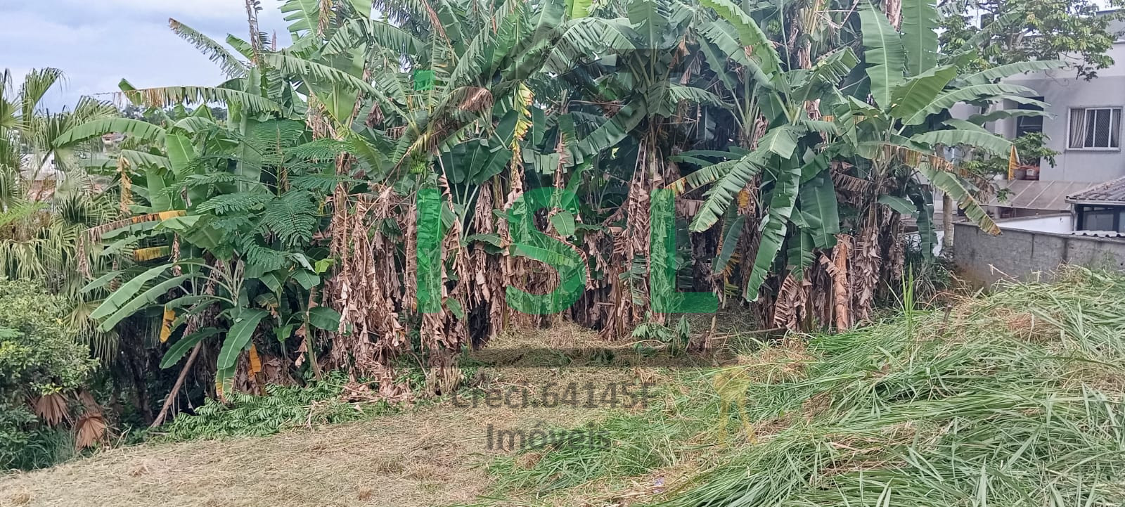 Imagem do imóvel Escola Agrícola