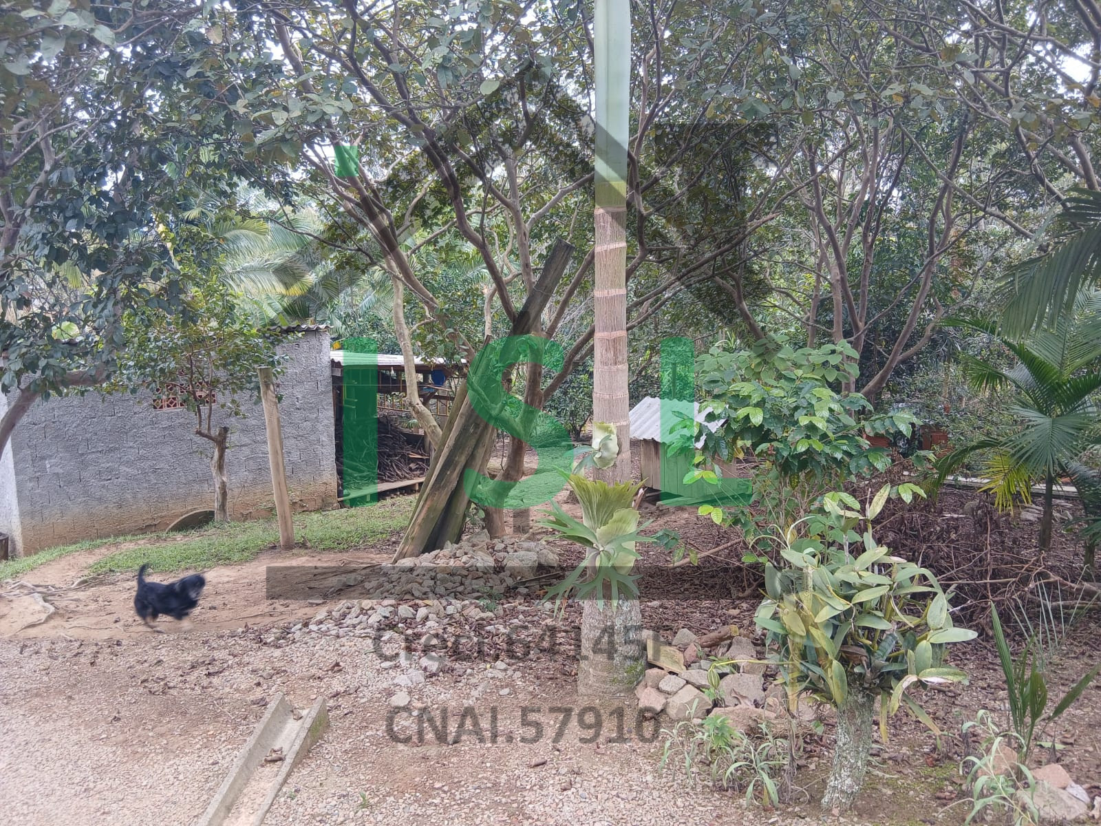 Imagem do imóvel Riachuelo - Lontras